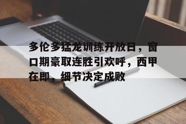 亚博yabo官网登录-多伦多猛龙训练开放日，窗口期豪取连胜引欢呼，西甲在即，细节决定成败-亚博yabo官网登录